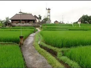 Ketekung Bungalow Ubud