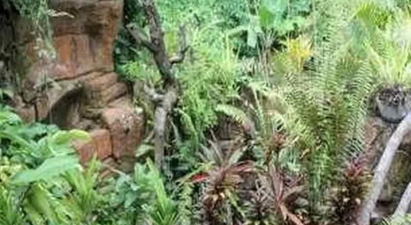 Ketekung Bungalow Ubud  Indonesia